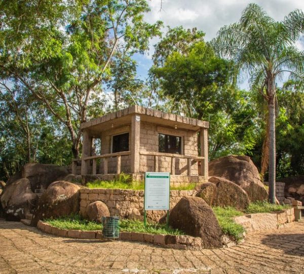 La Construction écologique en Afrique : un avenir durable et prometteur